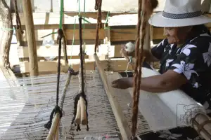 Telera