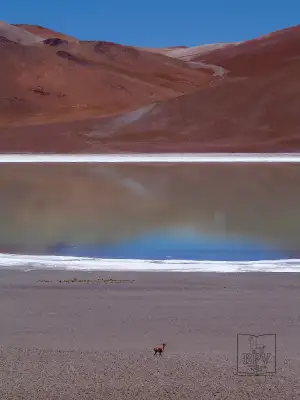 Laguna Diamante
